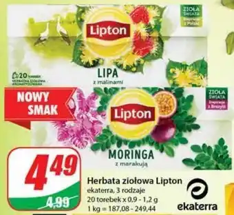 Dino Herbatka lipa z malinami lipton zioła świata oferta