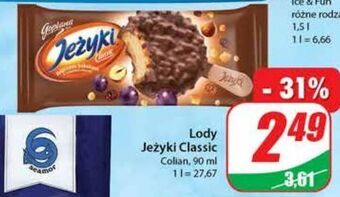 Dino Lód classic jeżyki oferta