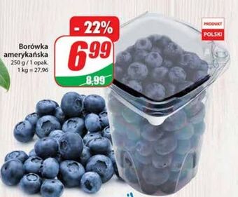 Dino Borówki amerykańskie oferta