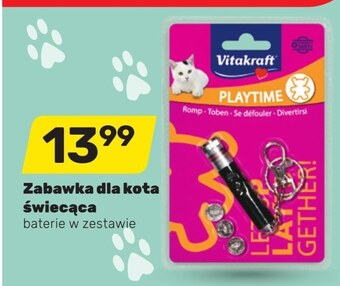 Bricomarche Zabawka dla kota oferta