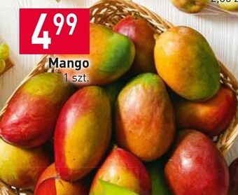 Stokrotka Mango oferta