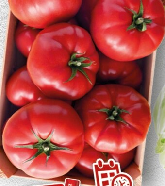 Topaz Pomidory oferta