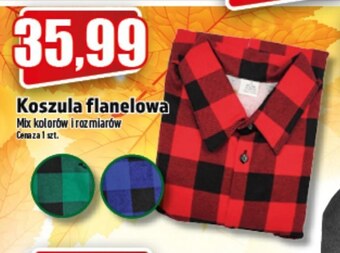Koszula