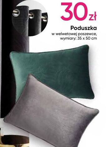Pepco Poduszka 35 x 50 cm oferta