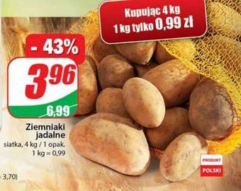 Dino Ziemniaki oferta