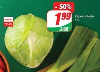 Dino Kapusta biała oferta