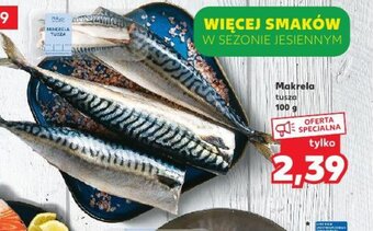 Kaufland Makrela tusza 100 g oferta