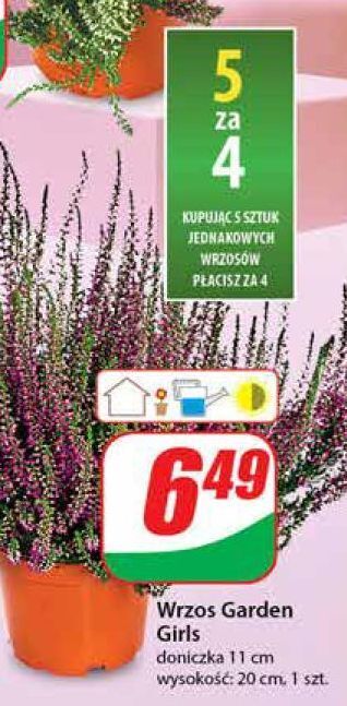 Wrzos garden girls