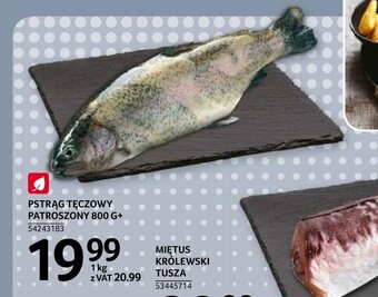 Selgros Pstrąg tęczowy patroszony 1kg oferta