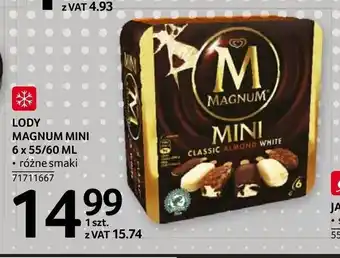 Selgros Lody Magnum Mini 6x55/60ml oferta