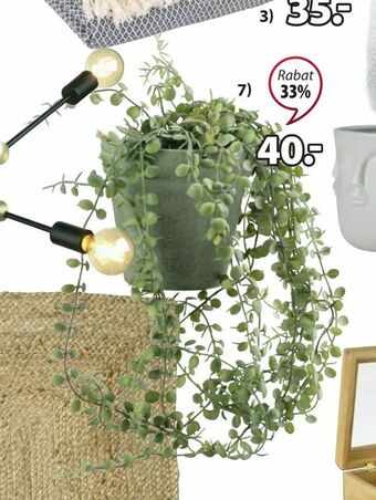 JYSK Roślina sztuczna svenn oferta