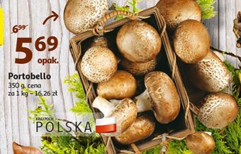 Auchan Pieczarki portobello oferta