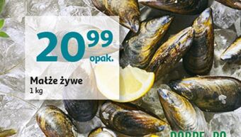 Auchan Małże żywe oferta