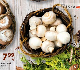 Auchan Pieczarki oferta