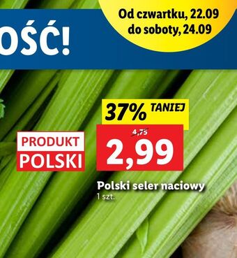 Lidl Seler naciowy oferta