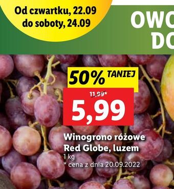Lidl Winogrona różowe red globe oferta