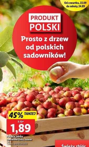 Lidl Jabłka gala oferta