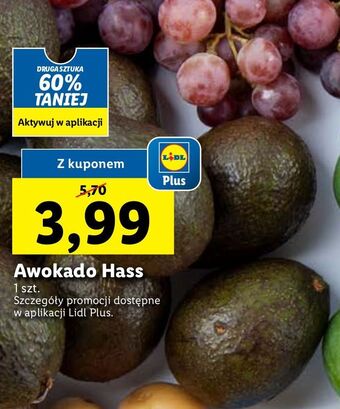 Lidl Awokado hass oferta