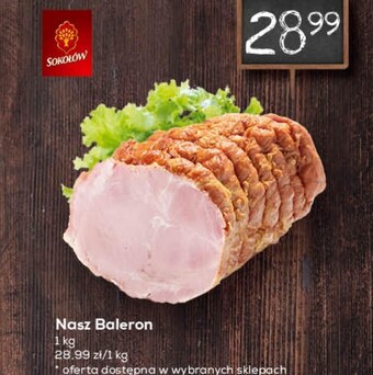 Lewiatan Baleron sokołów oferta
