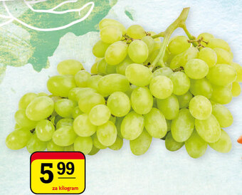 Gram Market Winogrona oferta