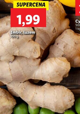 Lidl Imbir ryneczek lidla oferta