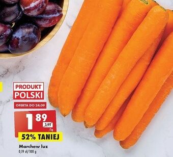 Biedronka Marchew oferta