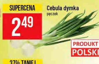 Polomarket Cebulka dymka pęczek oferta