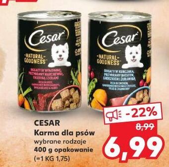 Kaufland Karma dla psa z wołowina cesar (karma) oferta