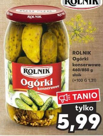 Ogórki konserwowe rolnik