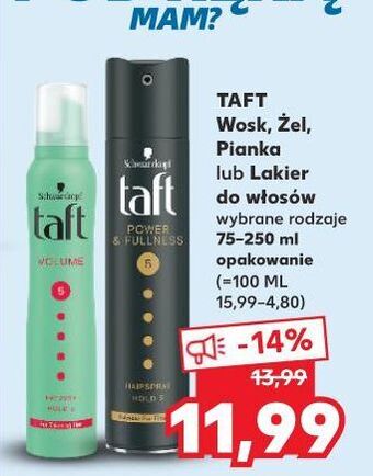 Kaufland Wosk do włosów taft power oferta