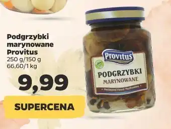 Netto Podgrzybki marynowane provitus oferta