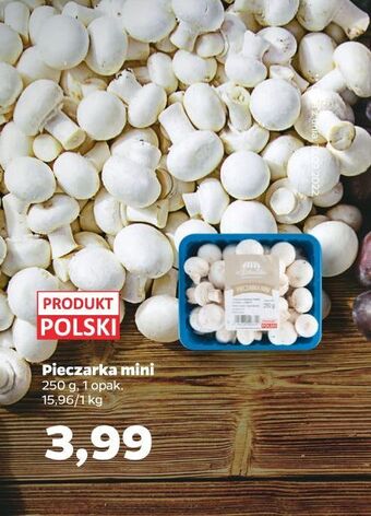 Netto Pieczarki mini oferta