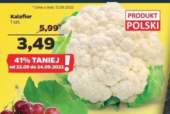 Netto Kalafior oferta