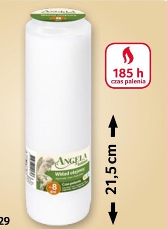 Selgros Wkład olejowy oferta