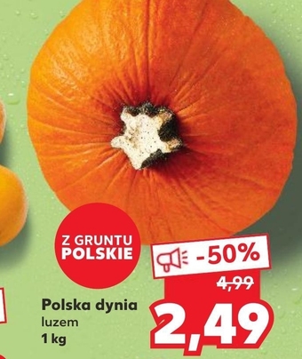 Kaufland Dynia kaufland oferta