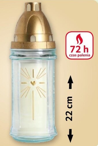 Selgros Znicz selgros oferta