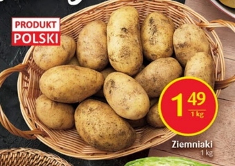 Delikatesy Centrum Ziemniaki delikatesy centrum oferta