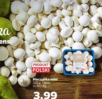 Netto Pieczarki oferta