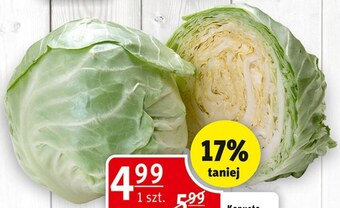 Prim Market Kapusta oferta