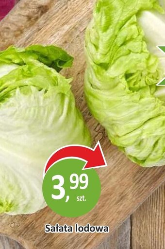 Passa Sałata lodowa 1 sztuka oferta
