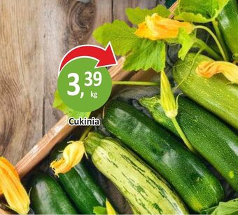 Passa Cukinia 1 kg oferta