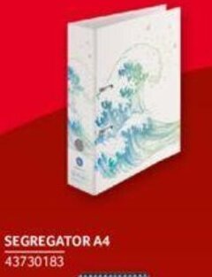 Selgros Segregator A4 oferta