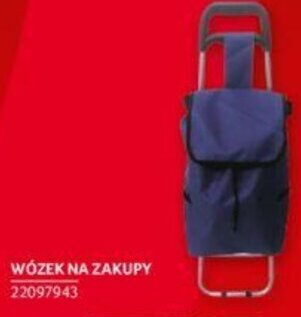 Selgros Wózek na zakupy oferta