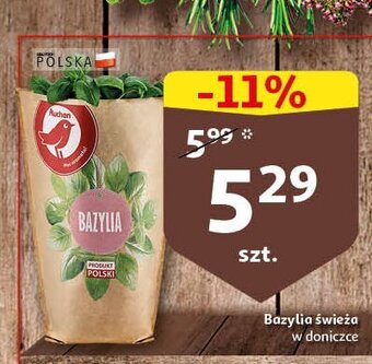 Auchan Bazylia 1 SZT oferta