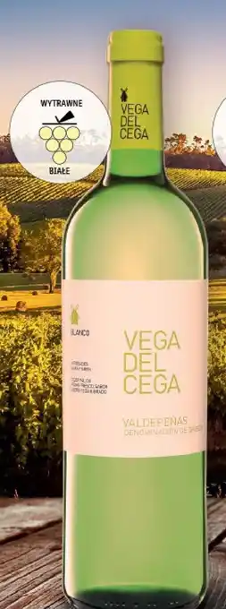 Lidl Wino białe vega del cega oferta