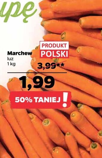 Netto Marchew oferta