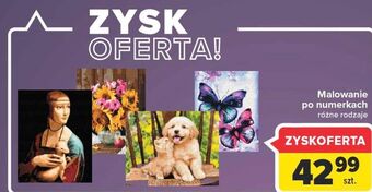 Carrefour Malowanie po numerkach oferta