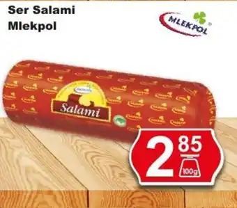 Hitpol Mlekpol Ser Salami 100 g oferta