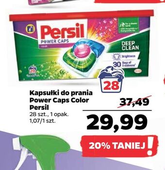Netto Kapsułki do prania power caps color persil oferta
