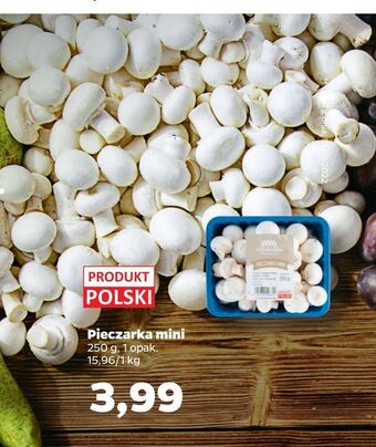 Netto Pieczarka mini oferta